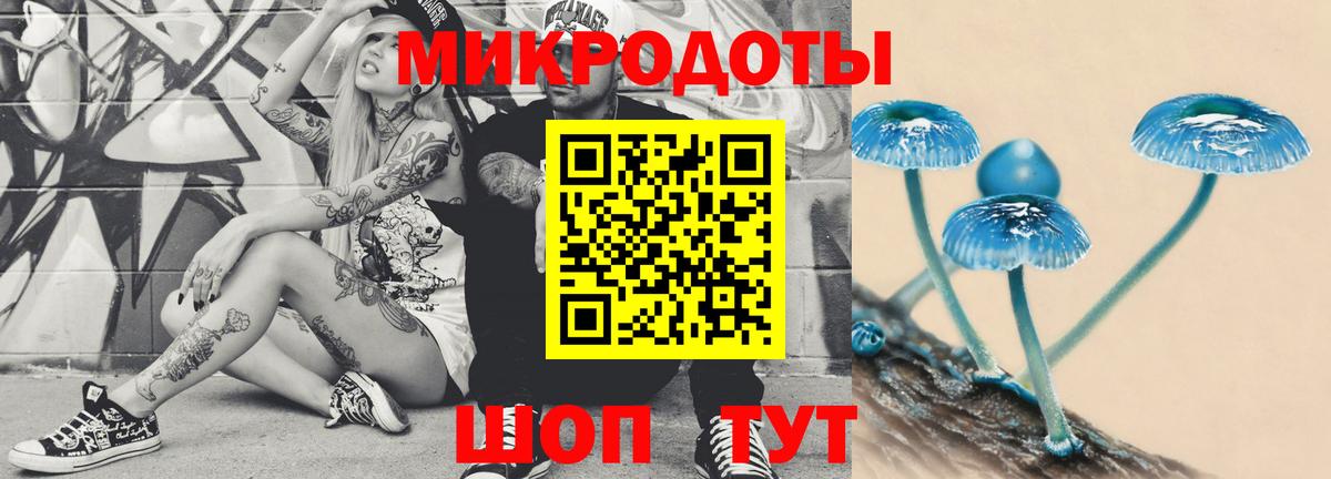 Галлюциногенные грибы Psilocybe  Псилоцибиновые грибы Cubensis  Бор  Вход с VPN 