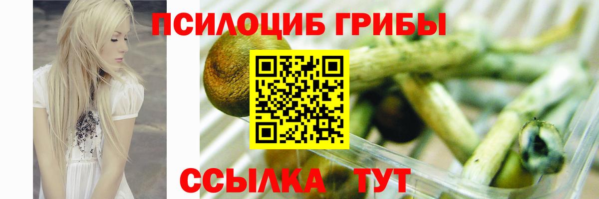 Псилоцибиновые грибы ЛСД Бор